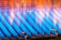 Coagh gas fired boilers